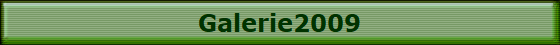 Galerie2009
