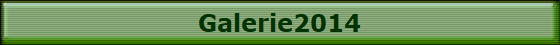 Galerie2014