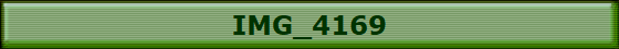 IMG_4169