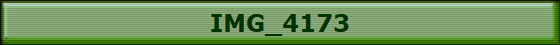 IMG_4173