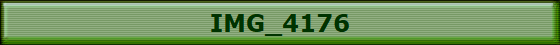 IMG_4176