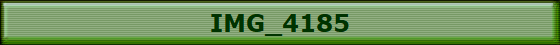 IMG_4185