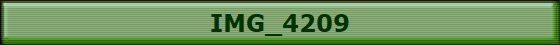 IMG_4209