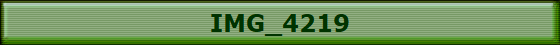 IMG_4219