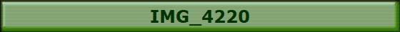 IMG_4220