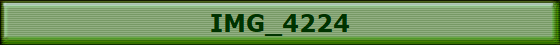 IMG_4224