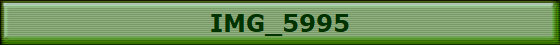 IMG_5995