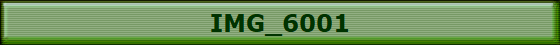 IMG_6001