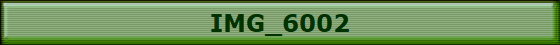 IMG_6002