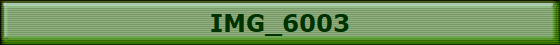 IMG_6003