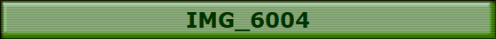IMG_6004