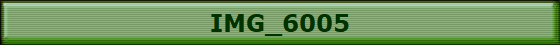 IMG_6005