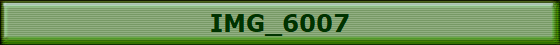 IMG_6007