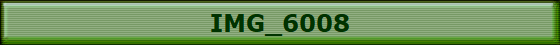IMG_6008
