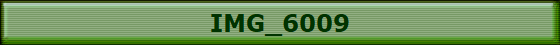 IMG_6009