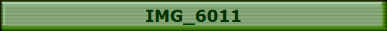 IMG_6011