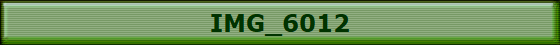 IMG_6012
