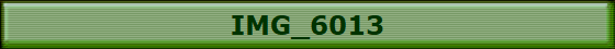 IMG_6013