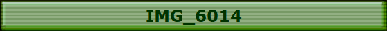 IMG_6014