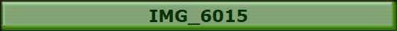 IMG_6015