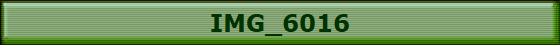 IMG_6016