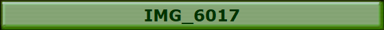 IMG_6017