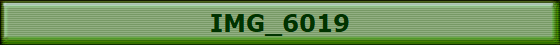 IMG_6019