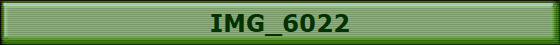IMG_6022