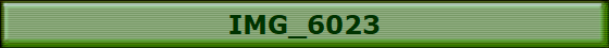 IMG_6023