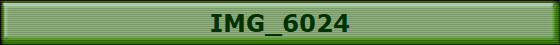 IMG_6024