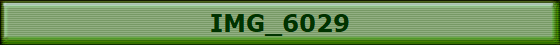 IMG_6029