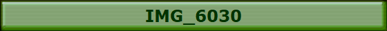 IMG_6030