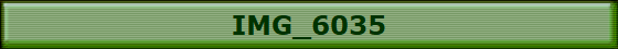 IMG_6035