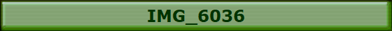 IMG_6036