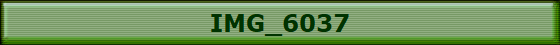 IMG_6037