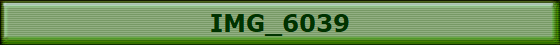 IMG_6039