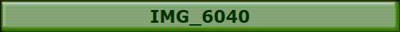 IMG_6040