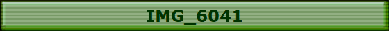 IMG_6041