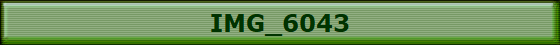 IMG_6043