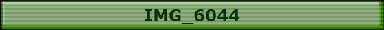 IMG_6044