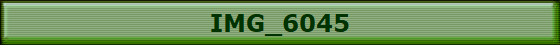 IMG_6045