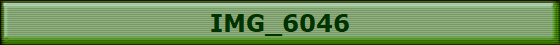 IMG_6046