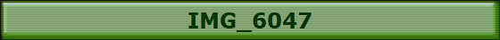 IMG_6047