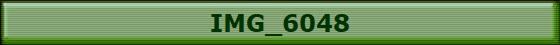 IMG_6048