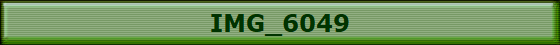 IMG_6049