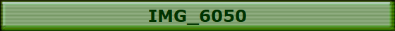 IMG_6050