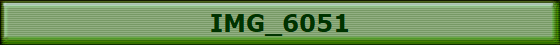 IMG_6051