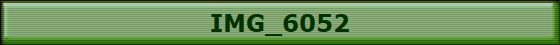 IMG_6052