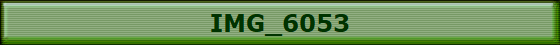 IMG_6053