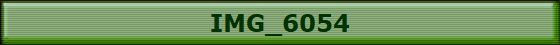 IMG_6054